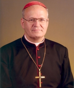 Erdő Péter